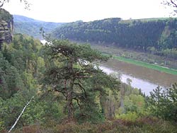 Blick auf die Elbe